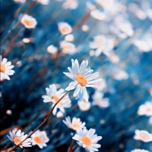 Meet your Posher, Ivory